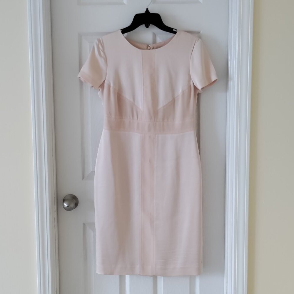 Ann Taylor Light pink champagne dress